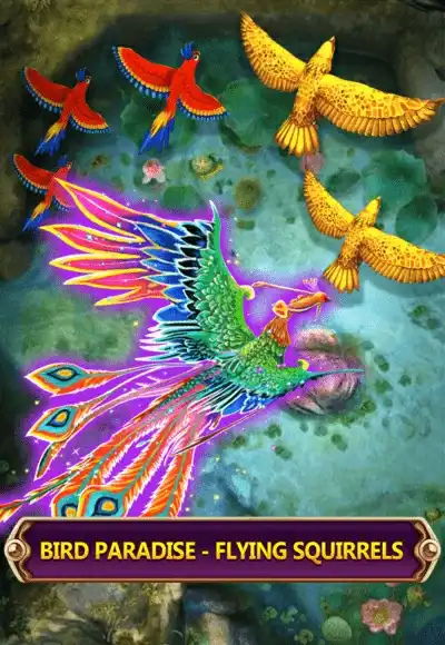 bird-paradise2.webp