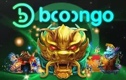 booongo.webp
