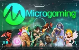 microgaming-1.webp